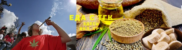 спиды Ельня