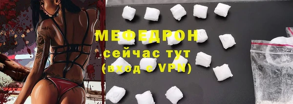 спиды Ельня