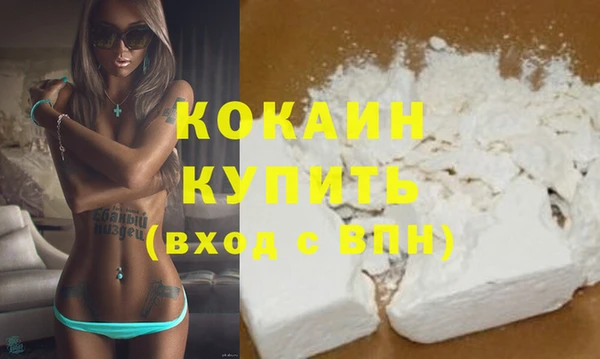 спиды Ельня