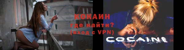 спиды Ельня