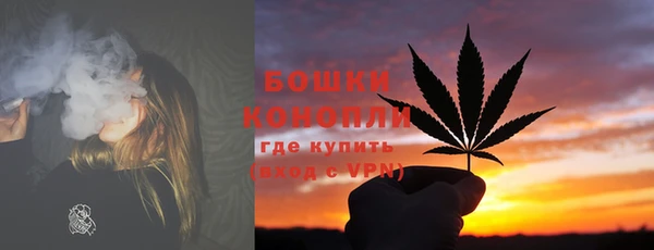 спиды Ельня
