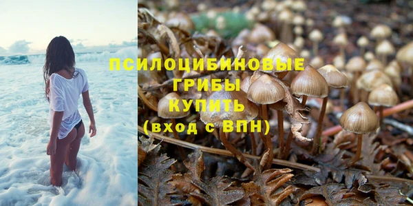 не бодяженный Елабуга