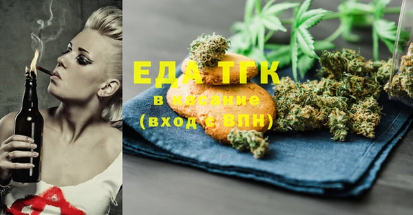 спиды Ельня