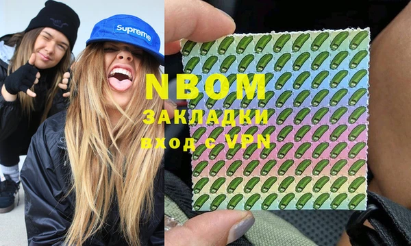 спиды Ельня