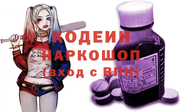 спиды Ельня