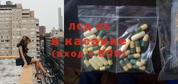 спиды Ельня