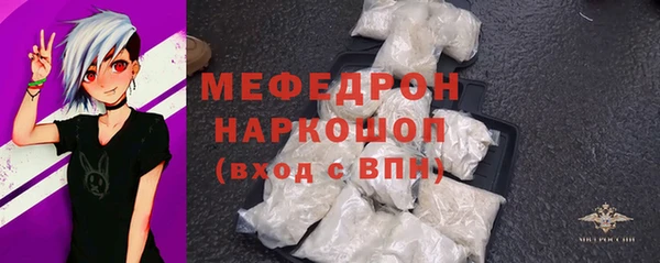 спиды Ельня