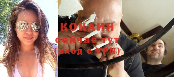 спиды Ельня