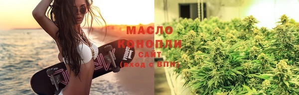 спиды Ельня
