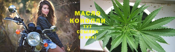 спиды Ельня