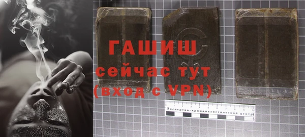 спиды Ельня