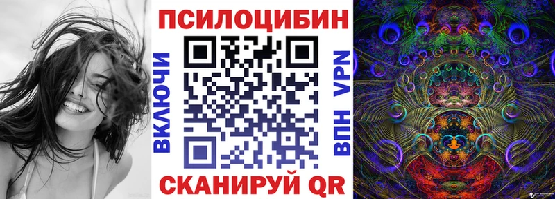 Псилоцибиновые грибы Psilocybine cubensis  Долгопрудный 